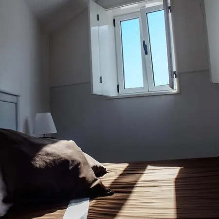 Prázdninový dům House Porto